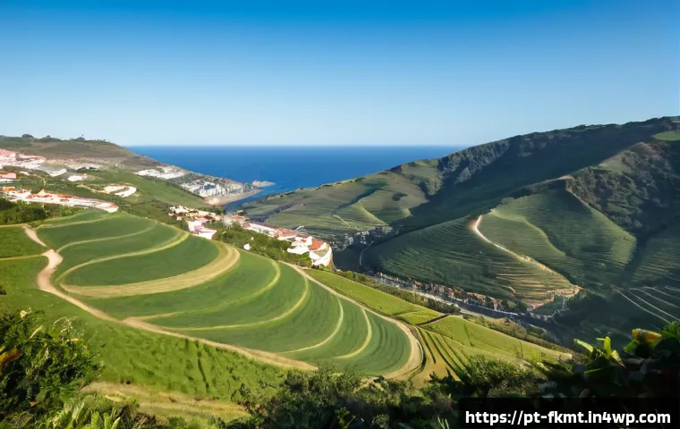 Como Modernizar a Produção de Alimentos Fermentados Tradicionais: Métodos, Equipamentos e Custos 4 전통 발효식품의 현대적 재배 및 생산 방법 관련 이미지 2